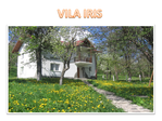 Vila IRIS - Runcu (Muntenia, judetul Dambovita)